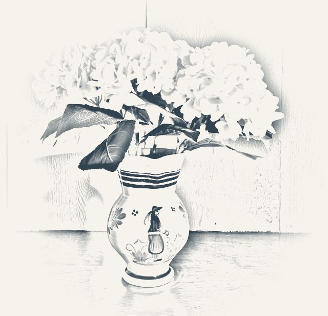 Pencil sketch of hydrangeas in the family’s Breton pitcher