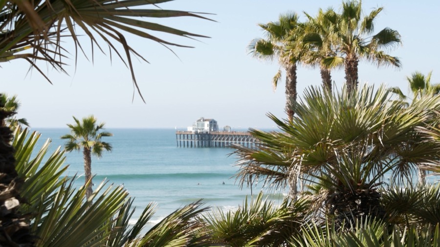 Oceanside Pier seen through palms from the bluff